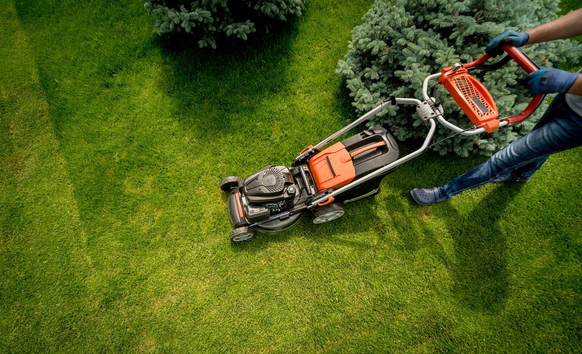 Service d'entretien de jardin et d'espaces verts à Lyon